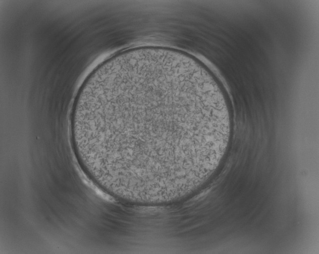 X0000080701341200701121741
