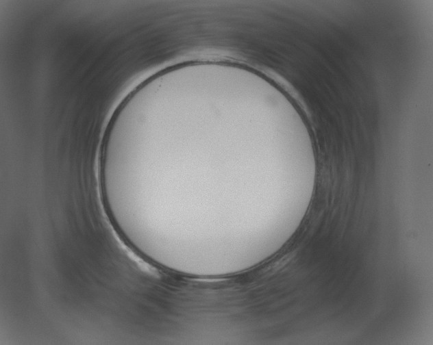 X0000080701343200701121741