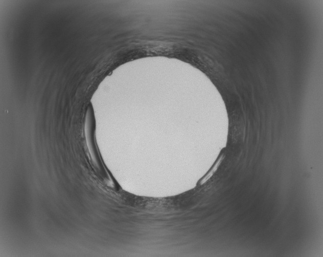 X0000080701345200701121740