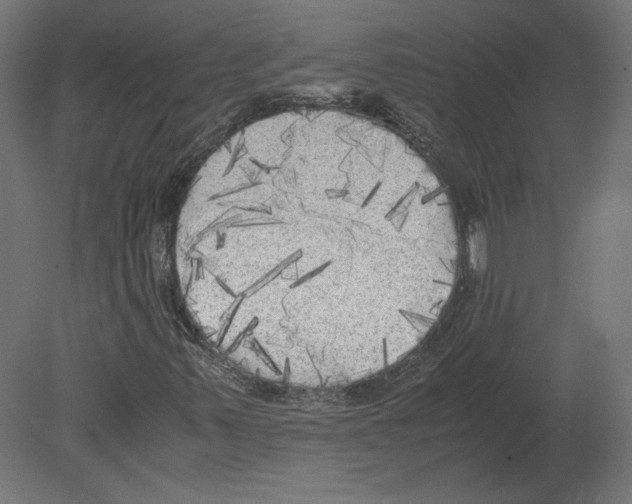 X0000080701347200701121740