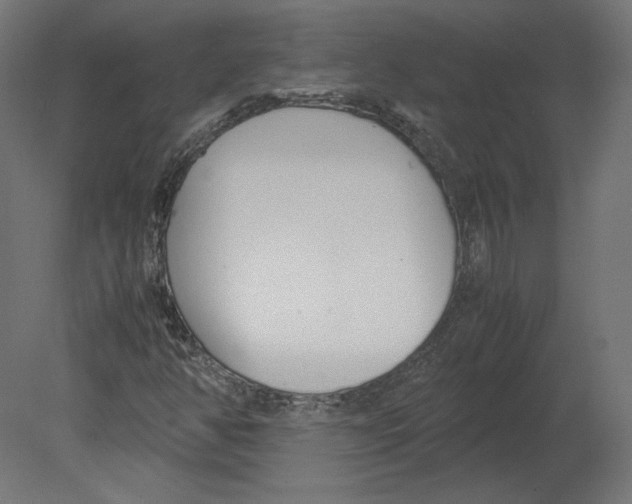 X0000080701350200701121740