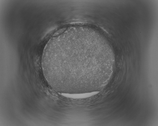 X0000080701351200701121740