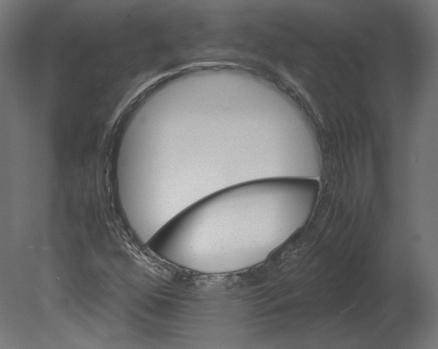X0000080701352200701121740