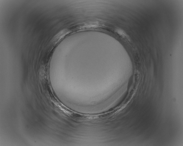 X0000080701353200701121740