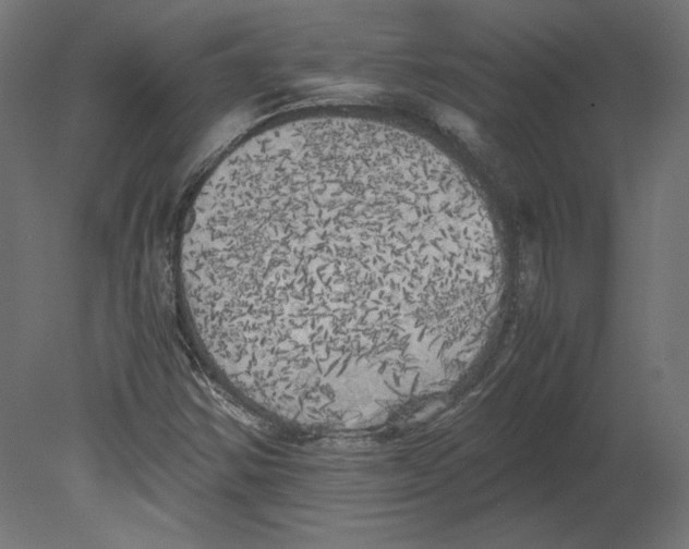 X0000080701354200701121740