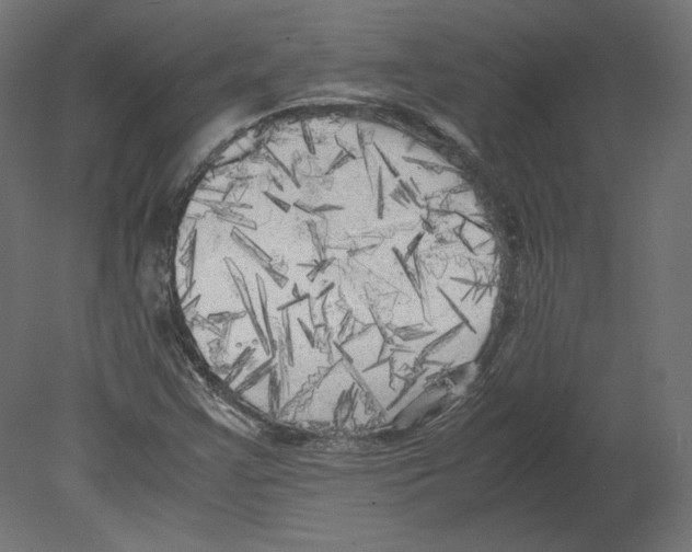 X0000080701355200701121740