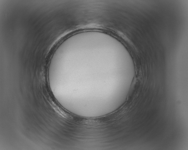X0000080701356200701121740
