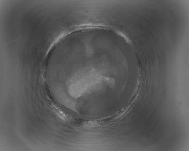 X0000080701357200701121740