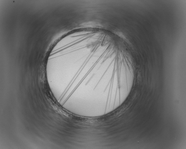 X0000080701358200701121740