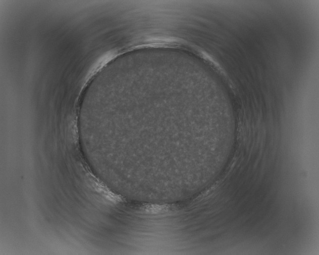 X0000080701362200701121740
