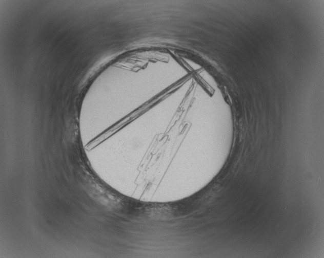 X0000080701363200701121740