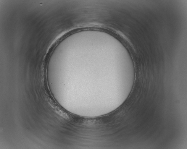 X0000080701364200701121740