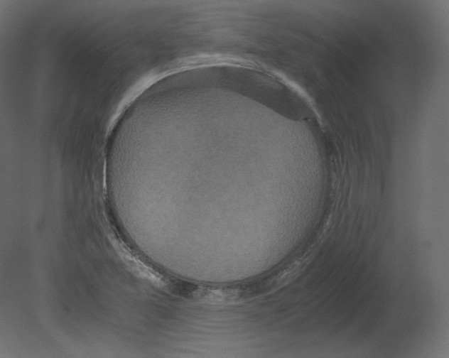 X0000080701365200701121740