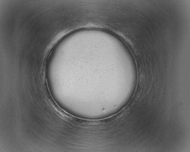 X0000080701367200701121740