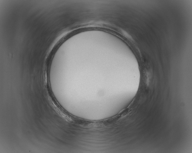 X0000080701368200701121740