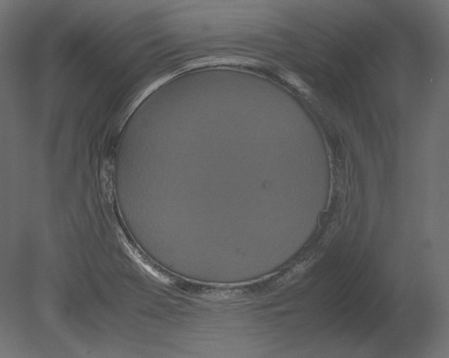 X0000080701369200701121740