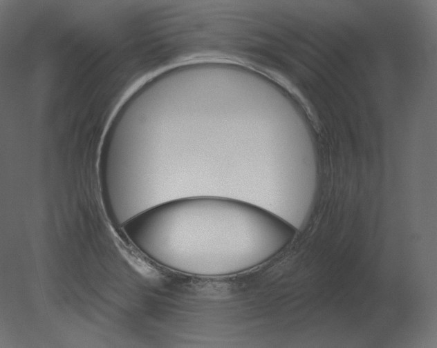 X0000080701372200701121740