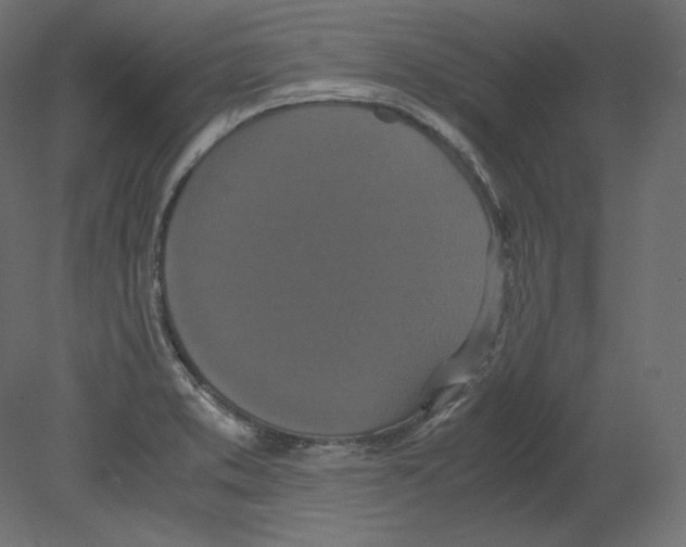 X0000080701373200701121740