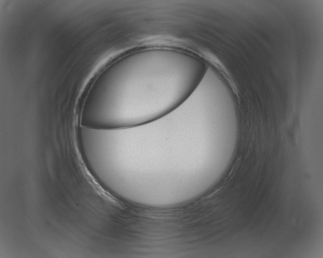 X0000080701376200701121740
