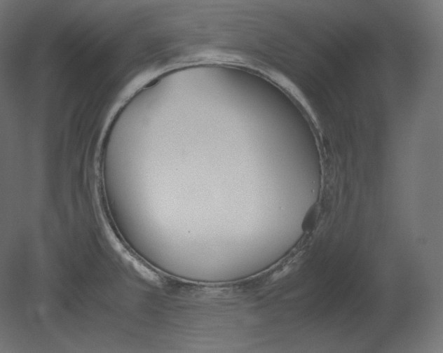X0000080701381200701121740