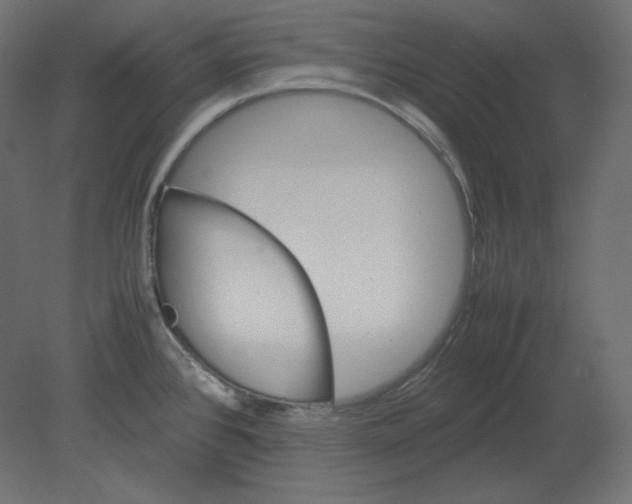 X0000080701384200701121740