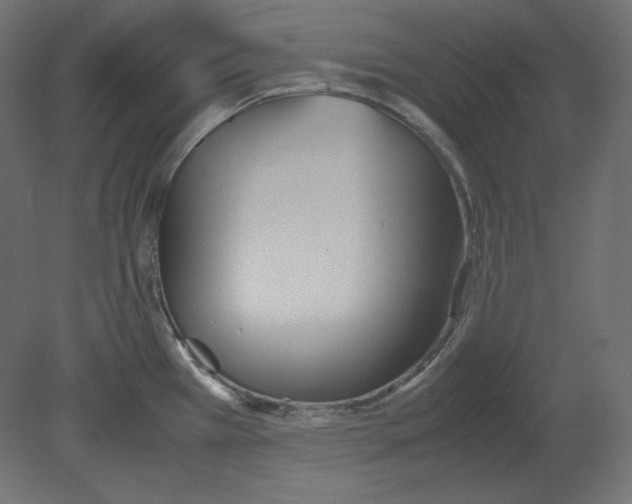 X0000080701385200701121740