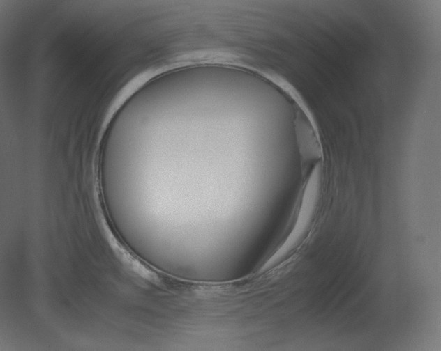 X0000080701389200701121740