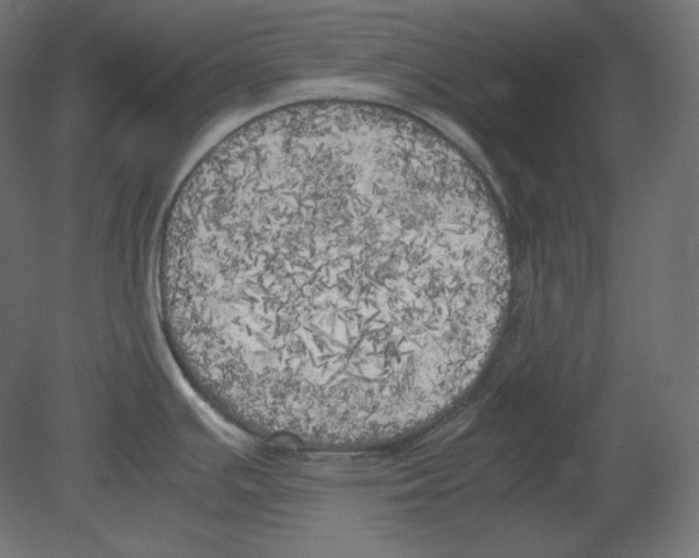 X0000080701391200701121740