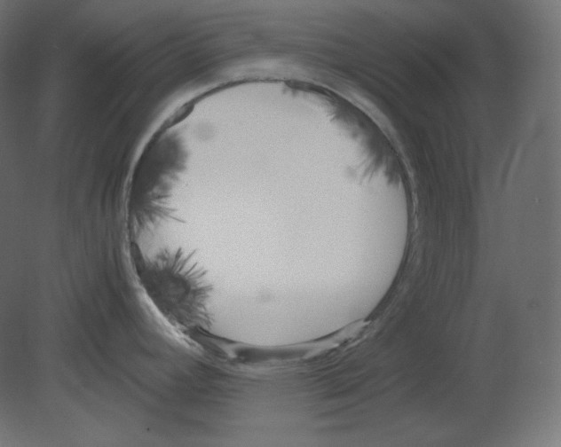 X0000080701392200701121740
