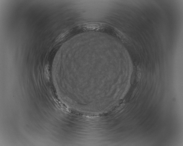 X0000080701394200701121739