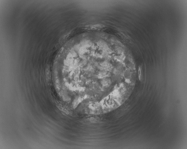 X0000080701395200701121739