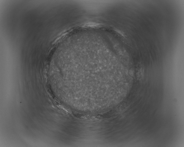 X0000080701397200701121739