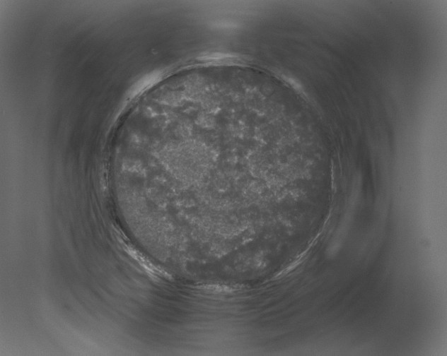 X0000080701405200701121739