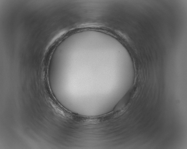 X0000080701406200701121739