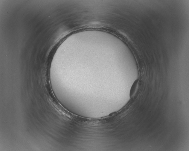 X0000080701410200701121739