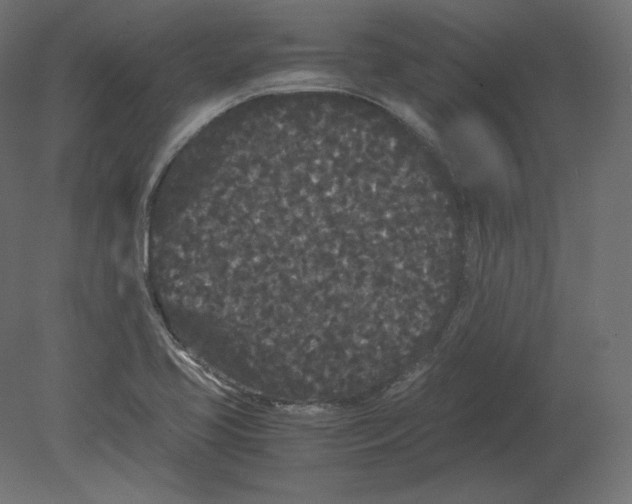 X0000080701413200701121739