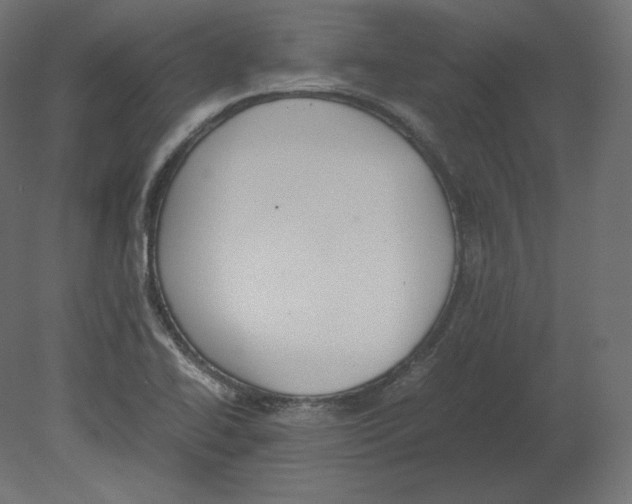 X0000080701414200701121739