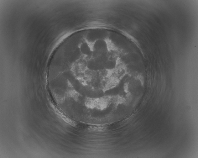 X0000080701415200701121739
