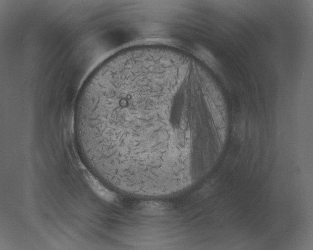 X0000080701420200701121739