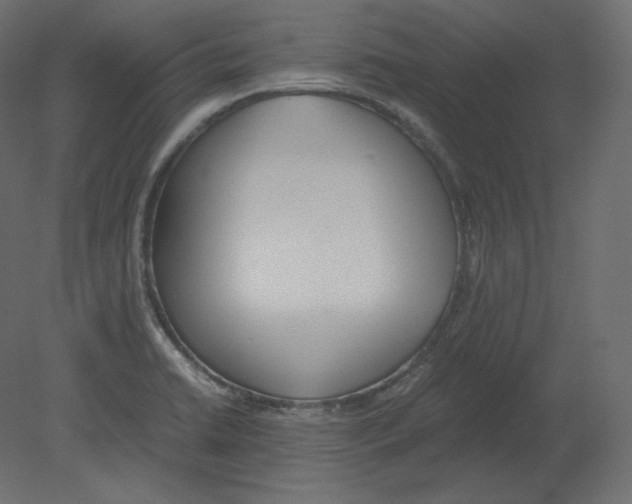 X0000080701422200701121739