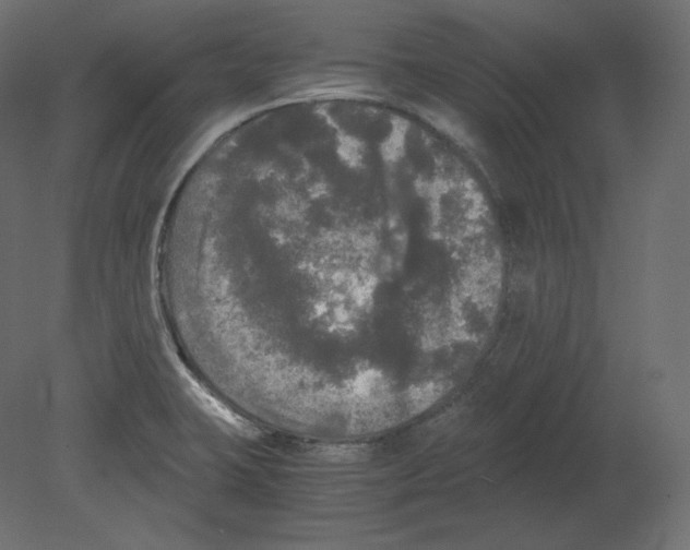X0000080701423200701121739