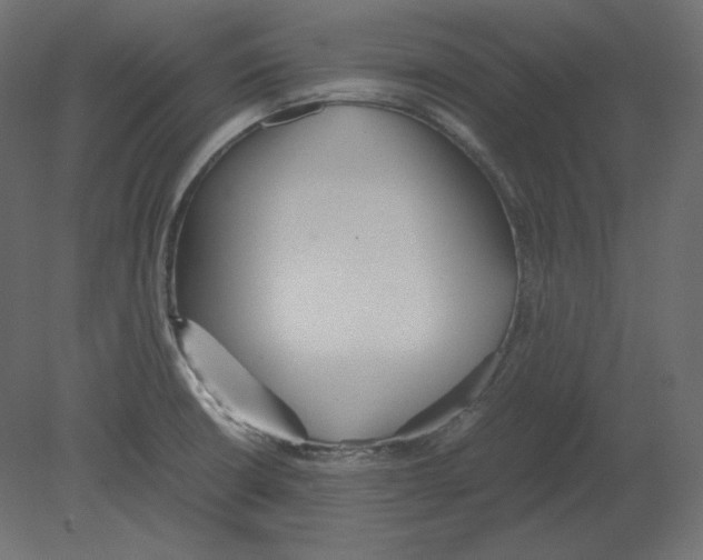 X0000080701426200701121739