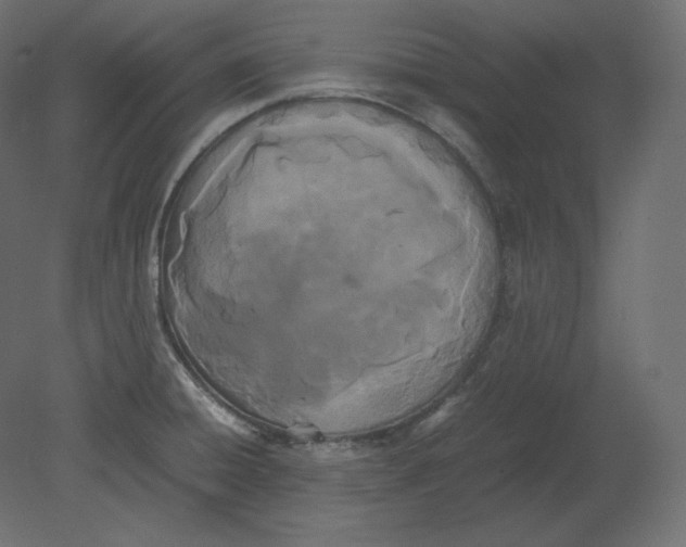 X0000080701428200701121739