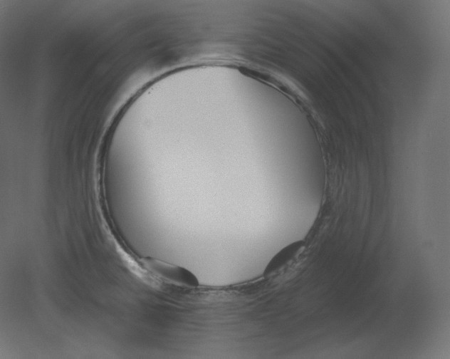 X0000080701430200701121739