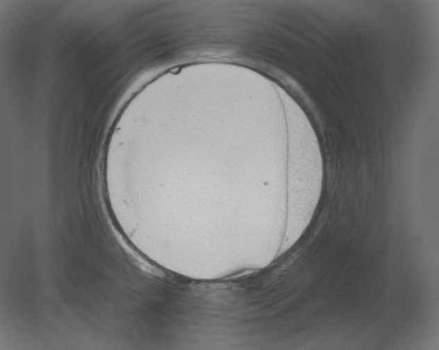 X0000080701432200701121739