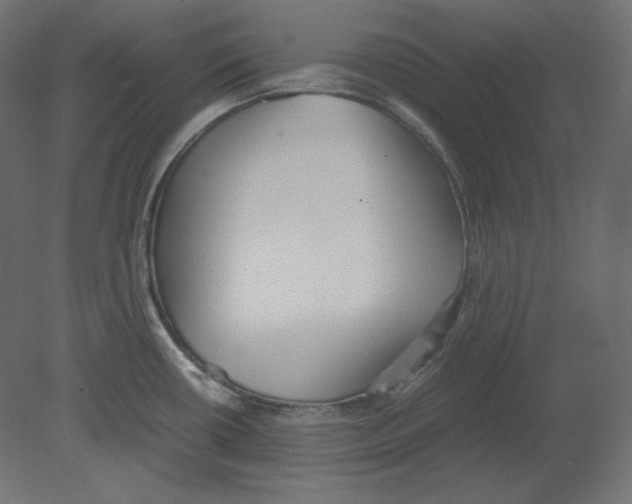 X0000080701434200701121739