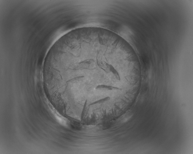 X0000080701436200701121740