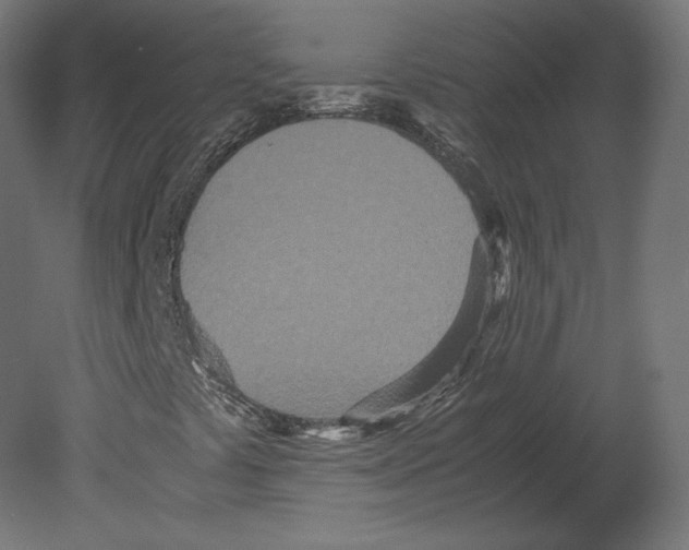 X0000080701441200701121739