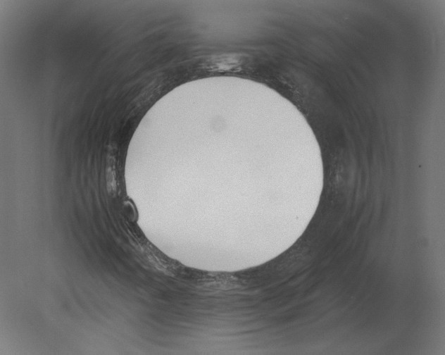 X0000080701442200701121739