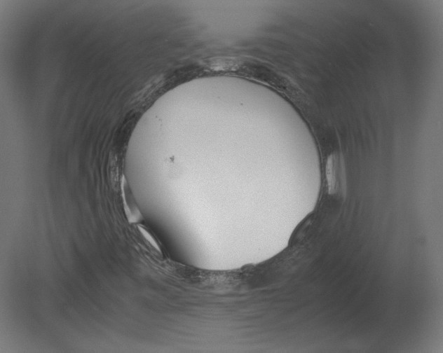 X0000080701443200701121739